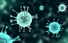 Ilustrasi virus Nipah. Dok: Eranasional/HO ***.